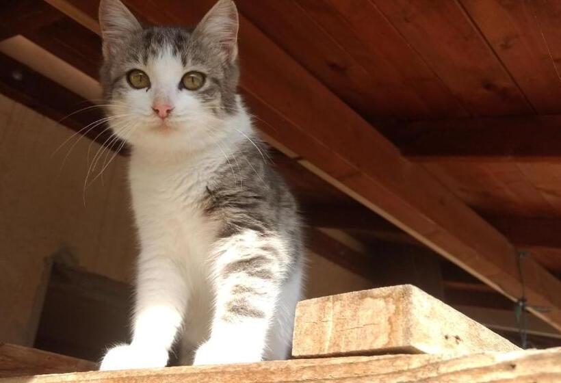 Agriturismo Mammarella