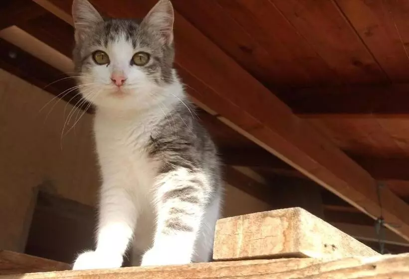 Agriturismo Mammarella