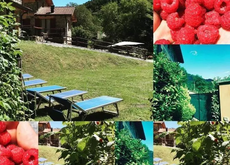 Отель Agriturismo Il Talento Nella Quiete