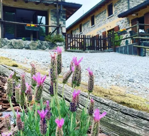 Отель Agriturismo Il Talento Nella Quiete