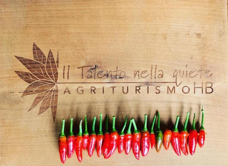 בית מלון כפרי Agriturismo Il Talento Nella Quiete