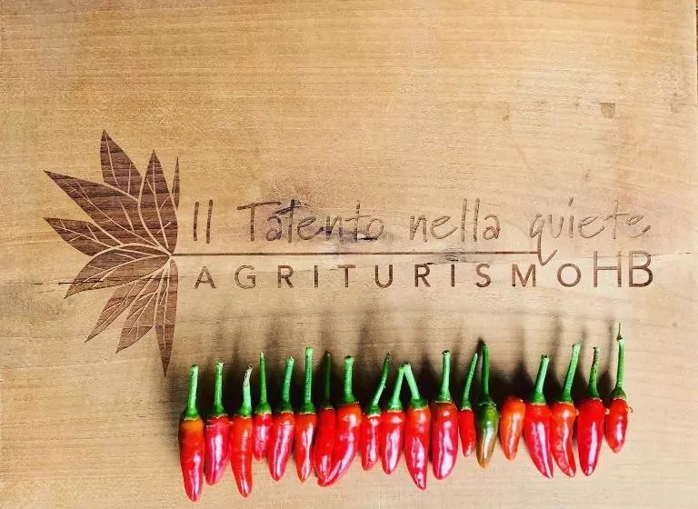 Отель Agriturismo Il Talento Nella Quiete