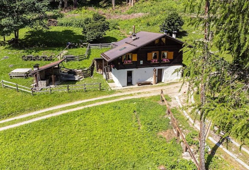 호텔 Albergo Dimaro Wellness