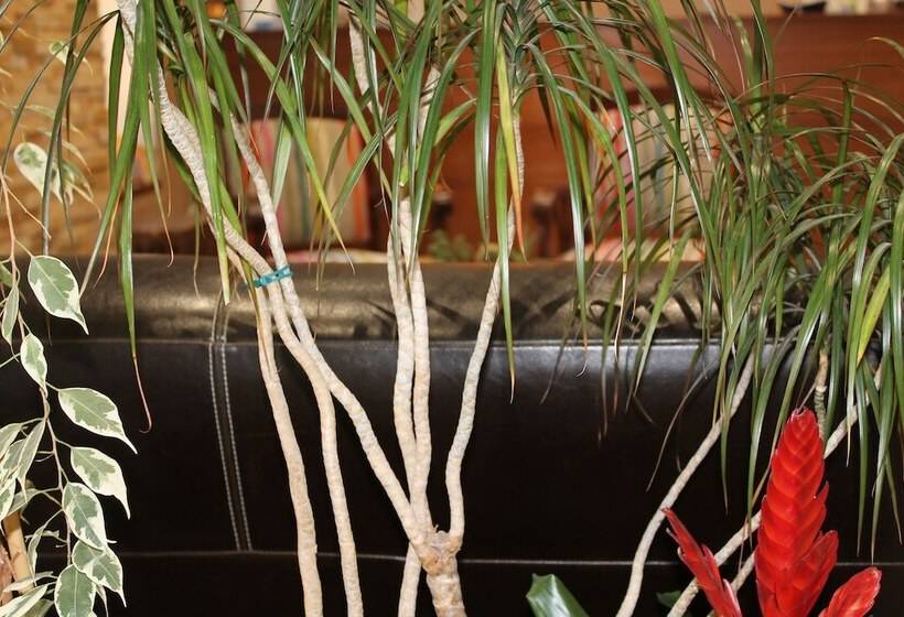 בית מלון כפרי Bellevue