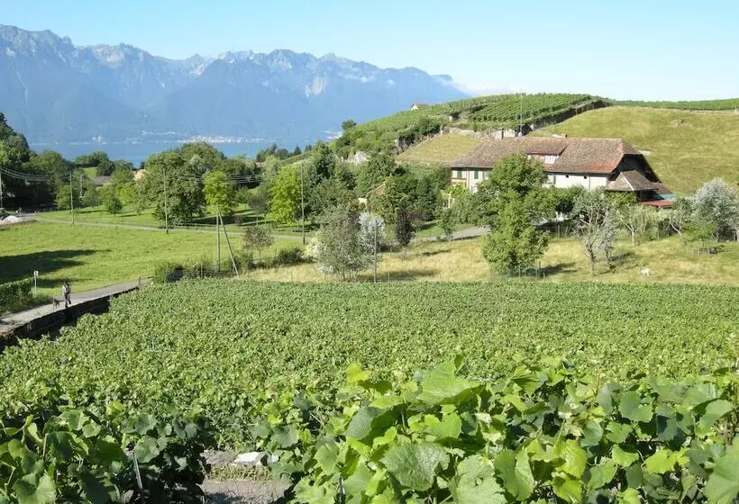 هتل De La Vieille Tour