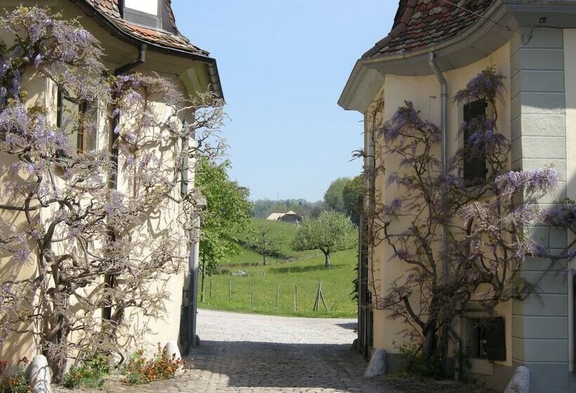 فندق De La Vieille Tour