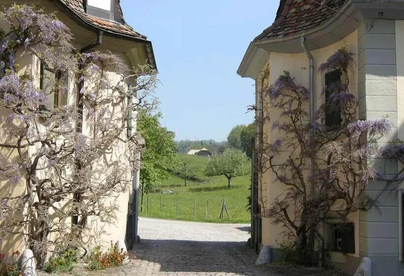 هتل De La Vieille Tour