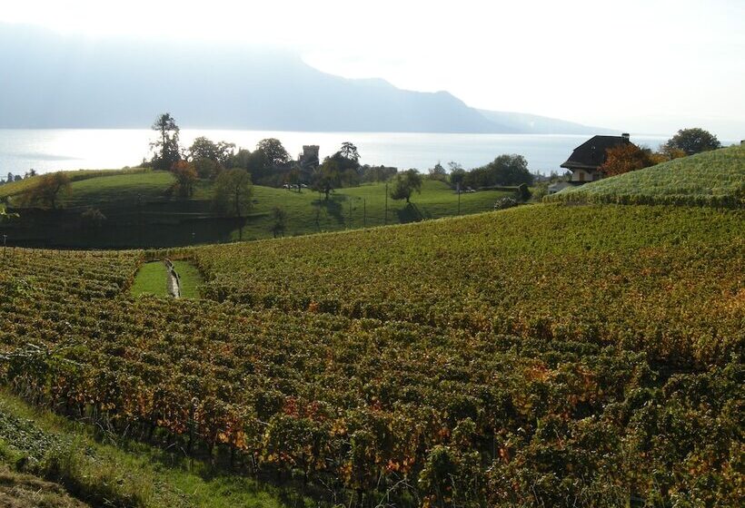 فندق De La Vieille Tour