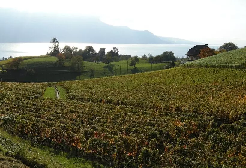 هتل De La Vieille Tour