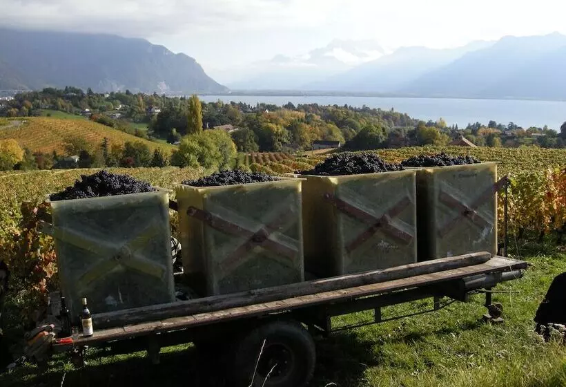 هتل De La Vieille Tour