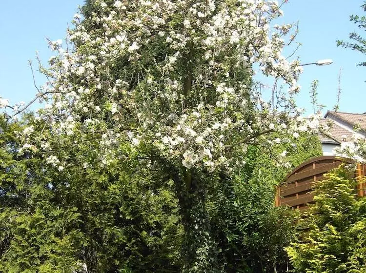 ホテル Graf Rolshausen