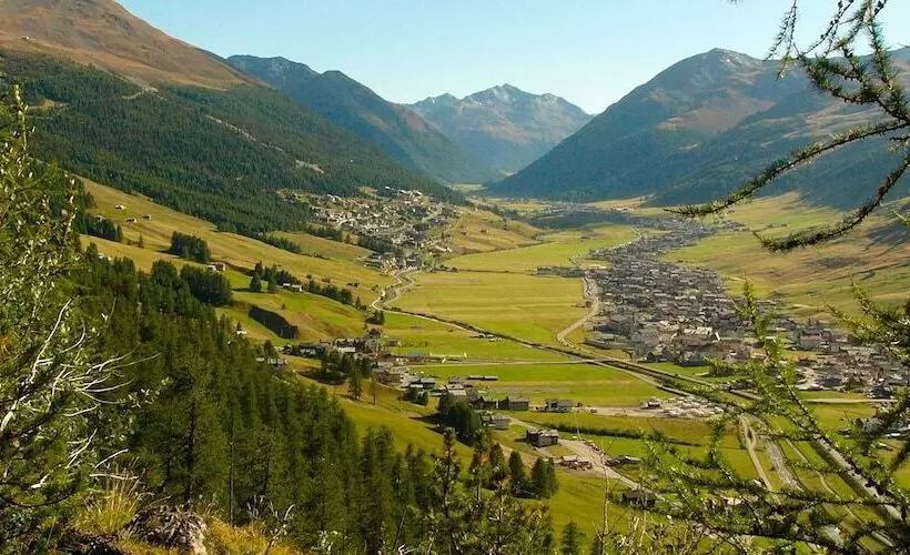 Отель Paradise Lodge