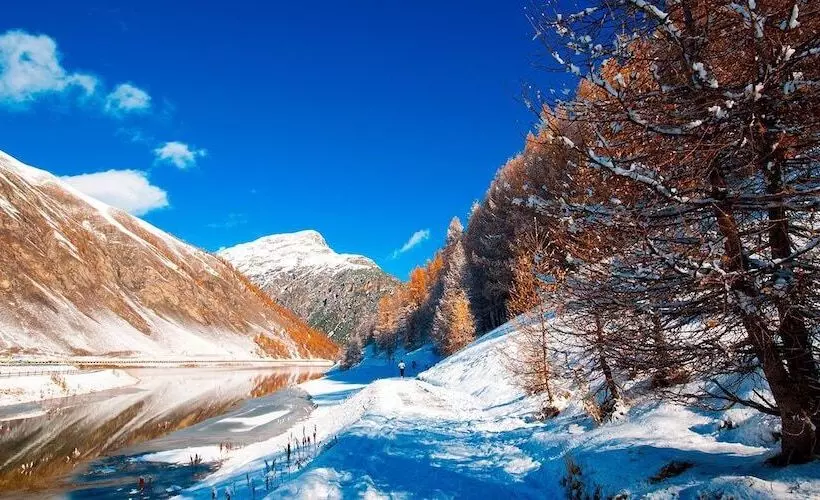 Отель Paradise Lodge