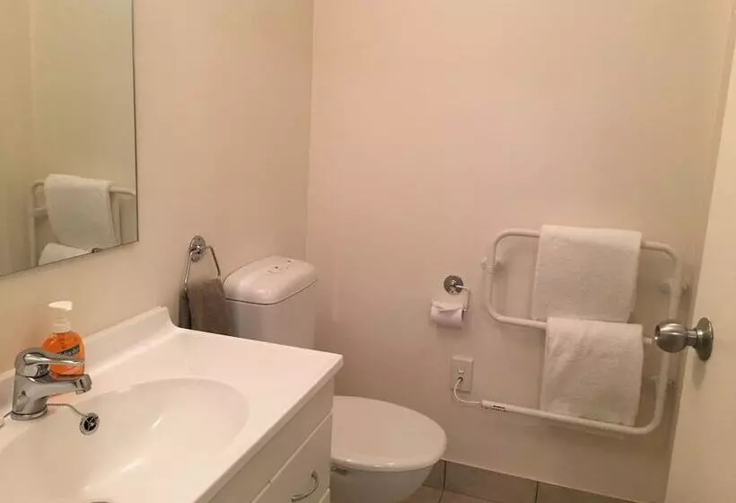 مُتل Ascot Motor Lodge