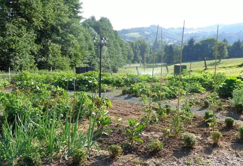 Waldhotel Felschbachhof