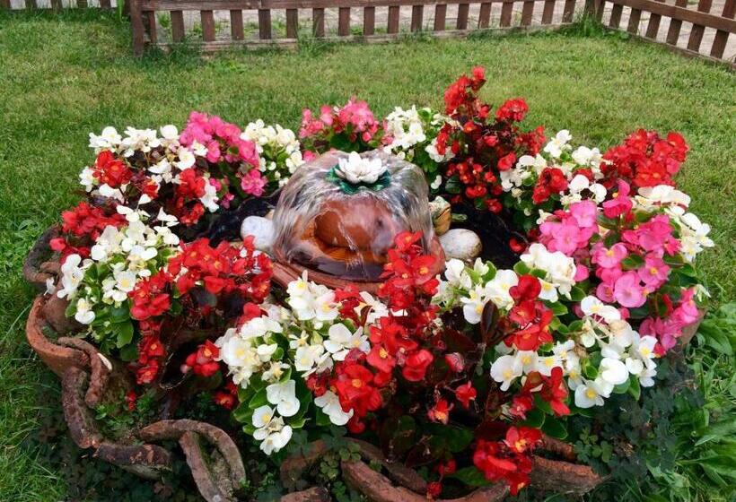 بنسيون Guest Rooms Dona