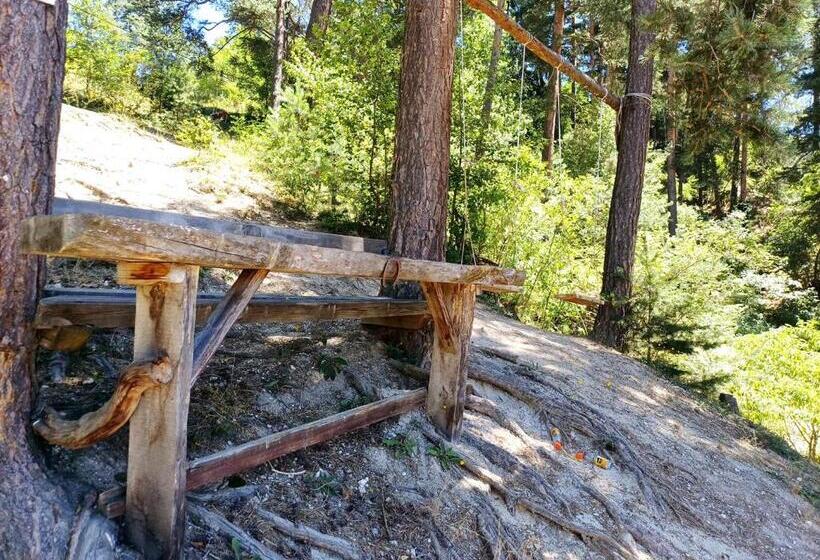 بنسيون Guest Rooms Dona