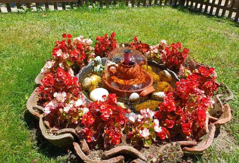 بنسيون Guest Rooms Dona