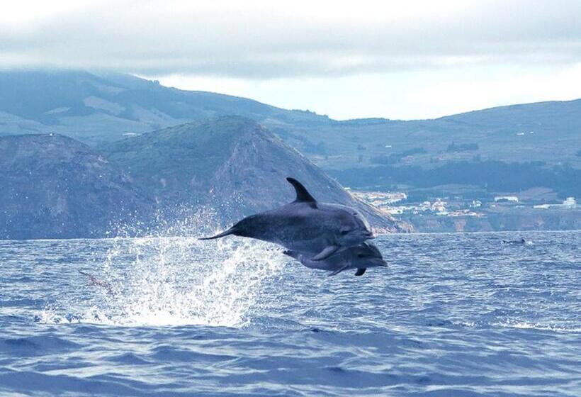 پانسیون Hospedaria Isaias