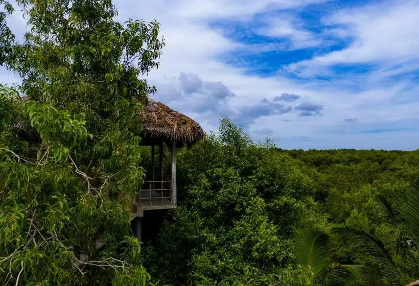 ペンション Mermaid Cabana And Tree Houses