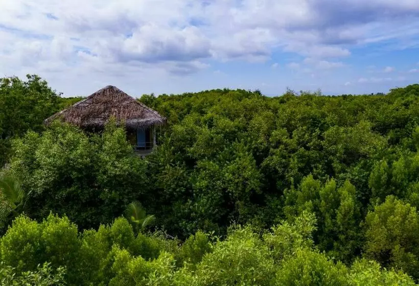 ペンション Mermaid Cabana And Tree Houses