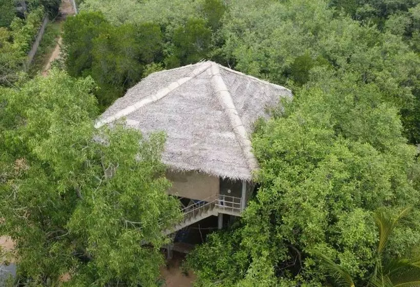 ペンション Mermaid Cabana And Tree Houses