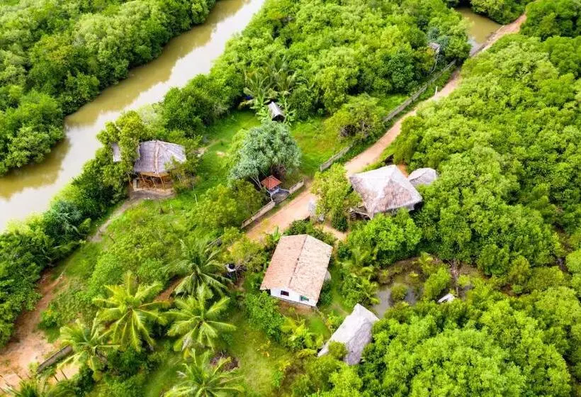 ペンション Mermaid Cabana And Tree Houses