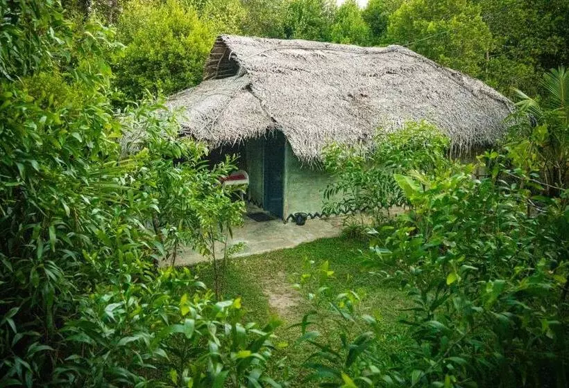 ペンション Mermaid Cabana And Tree Houses