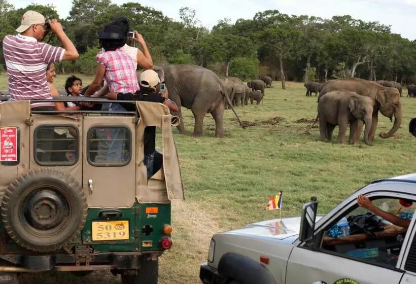 Majatalo Sigiri Regal Residence