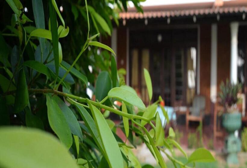 پانسیون Sun And Sea