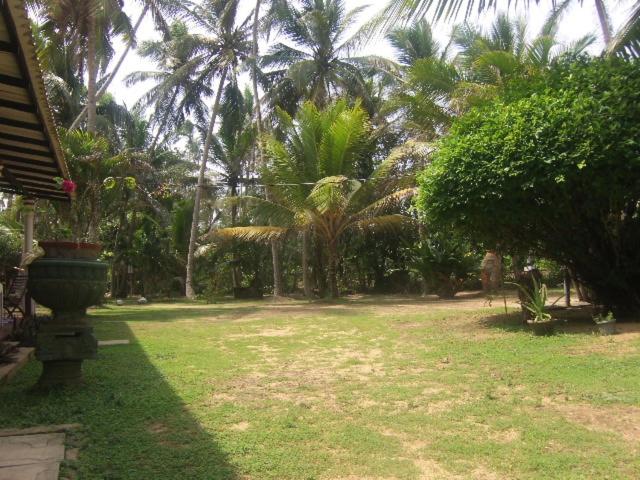 پانسیون Sun And Sea