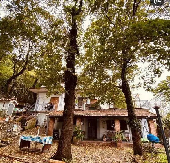 B&b Rifugio Angelina