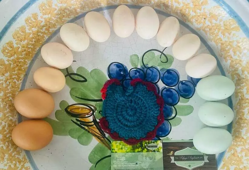 B&b Rifugio Angelina