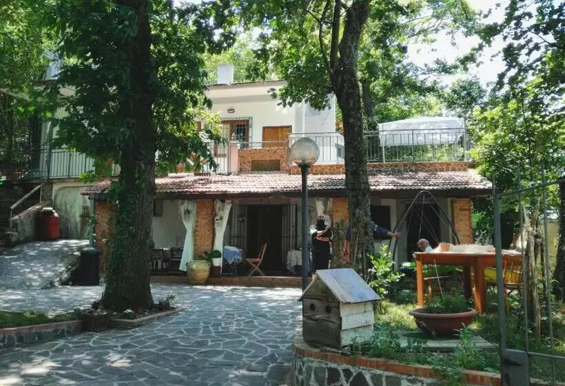 B&b Rifugio Angelina