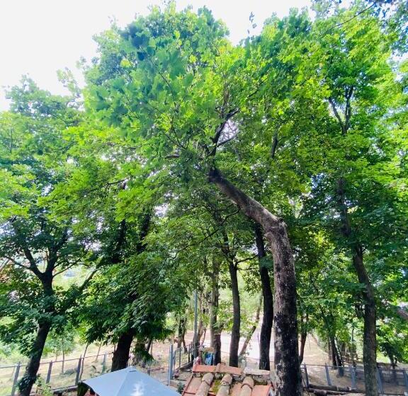 B&b Rifugio Angelina