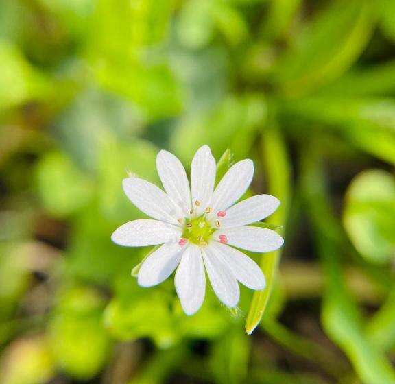 B&b Rifugio Angelina