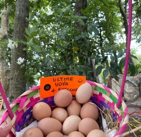 B&b Rifugio Angelina