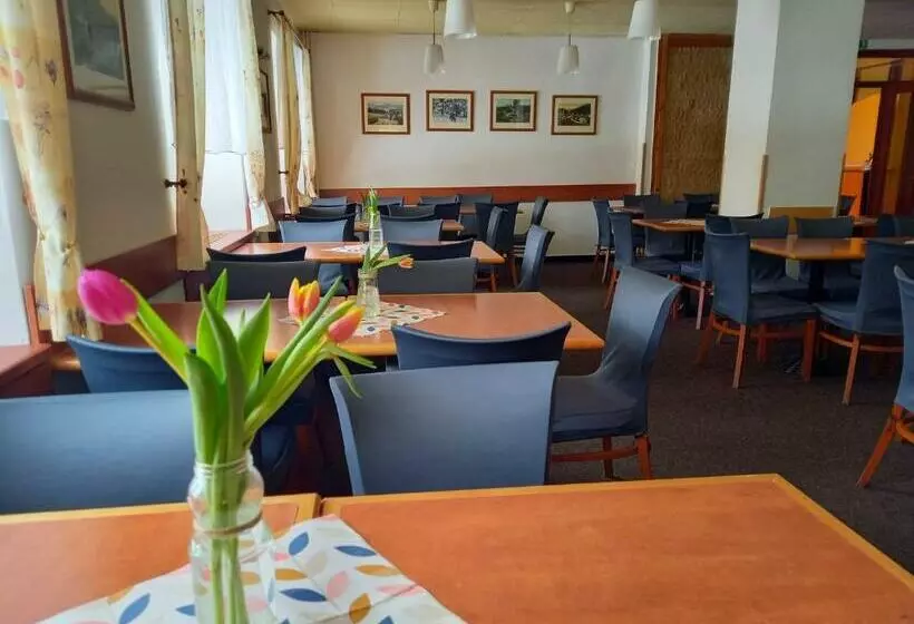 هتل Harrachov Inn