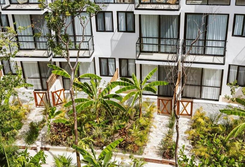 Resort The Waves Tulum By Bnb Experience