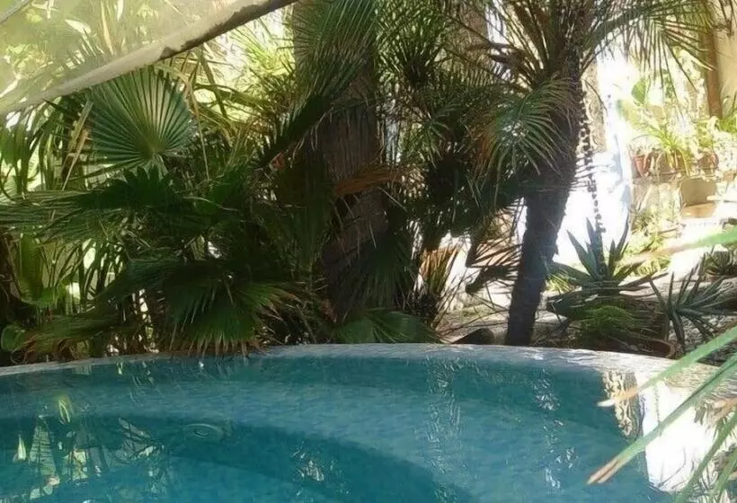 호텔 Albergo Boutique Casajanca