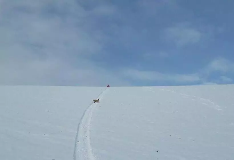 בית מלון כפרי Azienda Agrituristica Colle San Giorgio