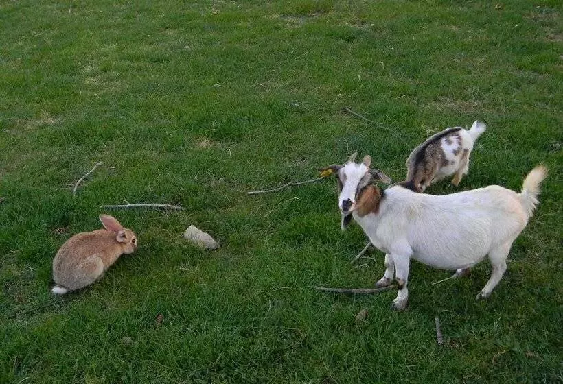 בית מלון כפרי Azienda Agrituristica Colle San Giorgio