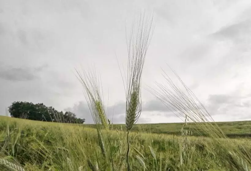 בית מלון כפרי Azienda Agrituristica Colle San Giorgio