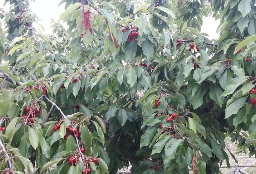 בית מלון כפרי Azienda Agrituristica Colle San Giorgio