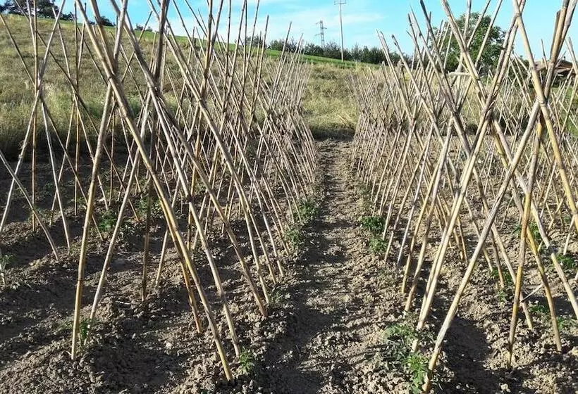 בית מלון כפרי Azienda Agrituristica Colle San Giorgio