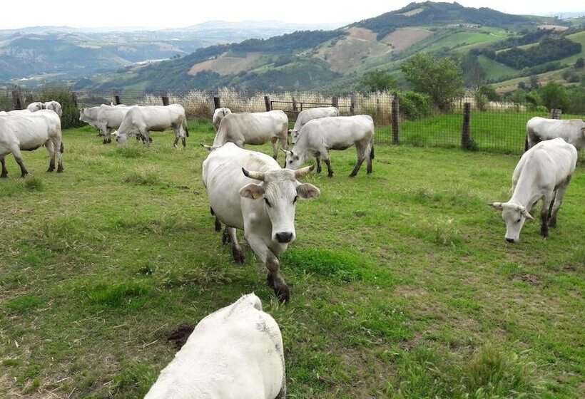 Отель Azienda Agrituristica Colle San Giorgio