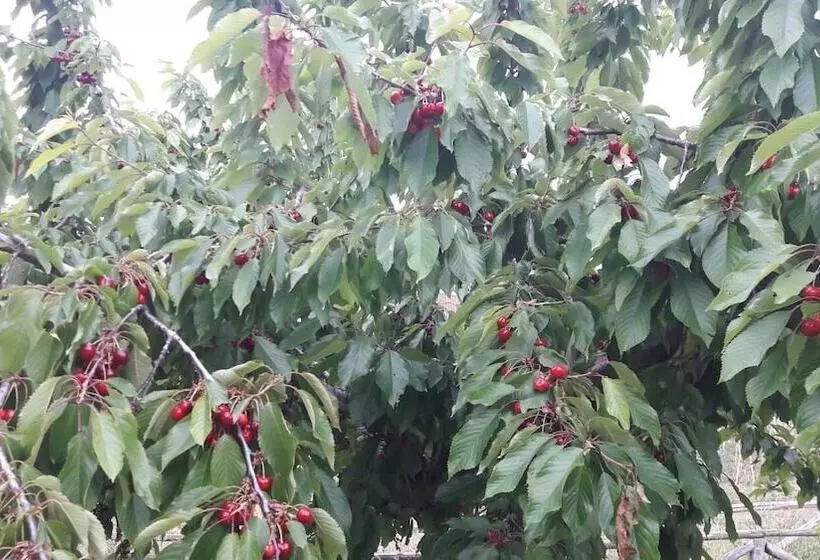 בית מלון כפרי Azienda Agrituristica Colle San Giorgio