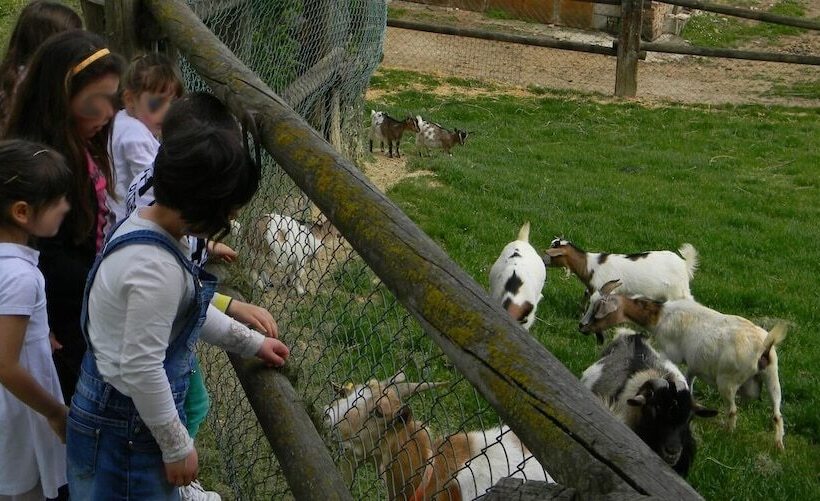 Отель Azienda Agrituristica Colle San Giorgio