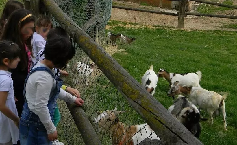 בית מלון כפרי Azienda Agrituristica Colle San Giorgio