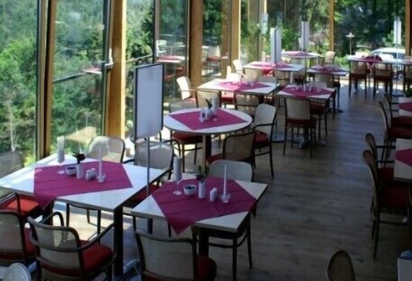 호텔 Hubertusbaude